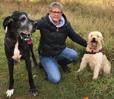 Harlequin Pet Services